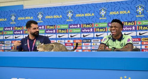 موقف طريف.. قطة تقتحم مؤتمر البرازيل قبل مواجهة كرواتيا (فيديو)